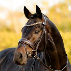 Lumiere Pippa Bridle
