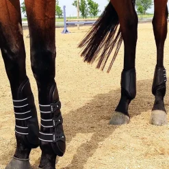 Majyk Equipe Boyd Martin Leather Hind Boots
