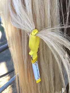 ManeStay Emergency ID Tag