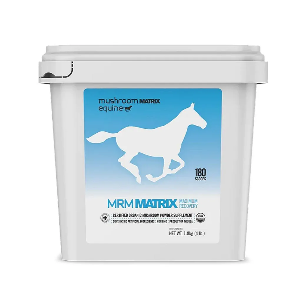 MRM Matrix Maximum Recovery