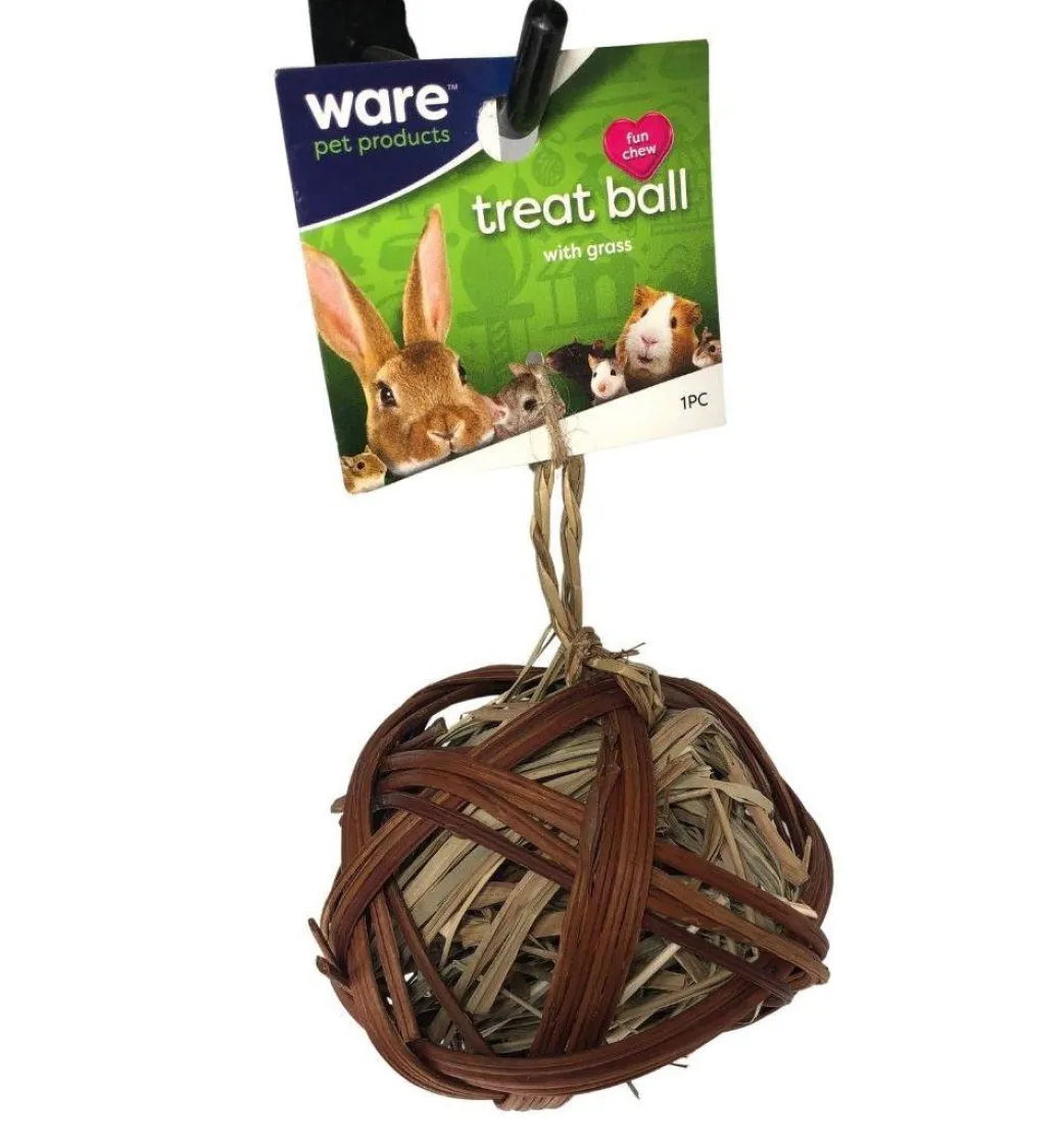 Natural Willow Treat Ball for Small Pets
