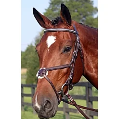 Nunn Finer Figure 8 Bridle