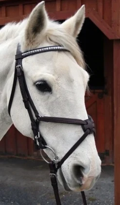 Nunn Finer Figure 8 Bridle