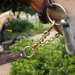 Nunn Finer Newmarket Shank Lead
