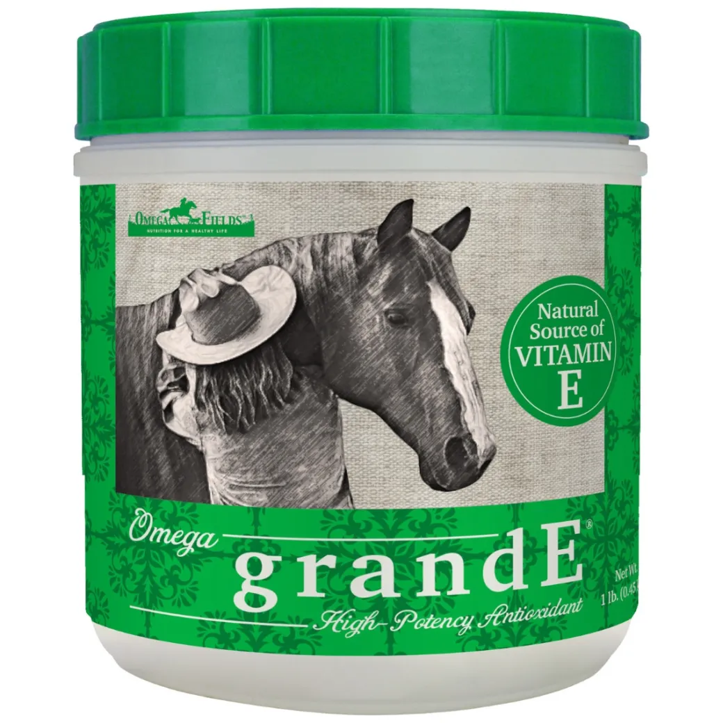 Omega grandE High Potency Antioxidant