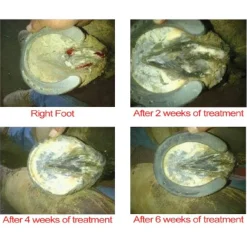 Outlaw Hoof Canker Care