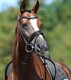 Passier Apollo Patent Leather Snaffle Bridle