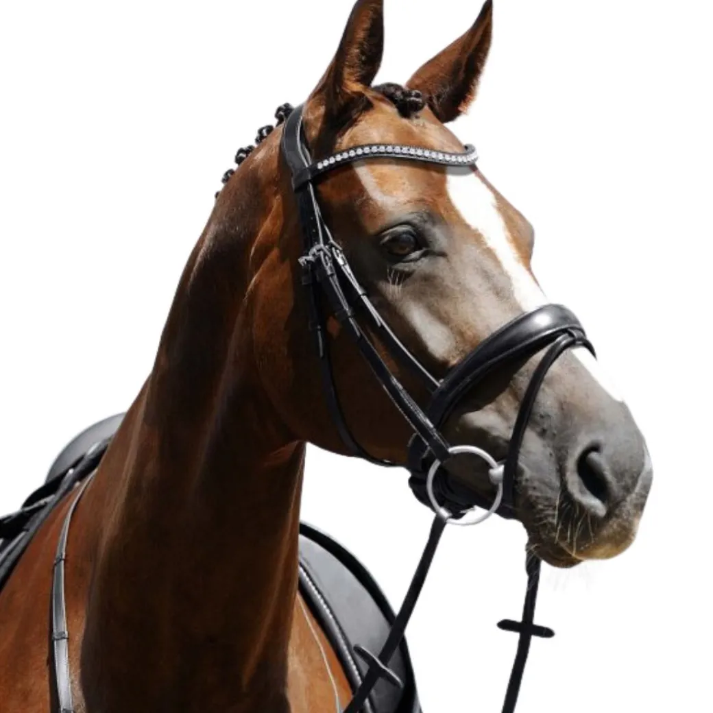 Passier Atlas Snaffle Bridle