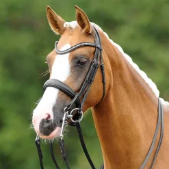 PASSIERBLU Dream Double Bridle