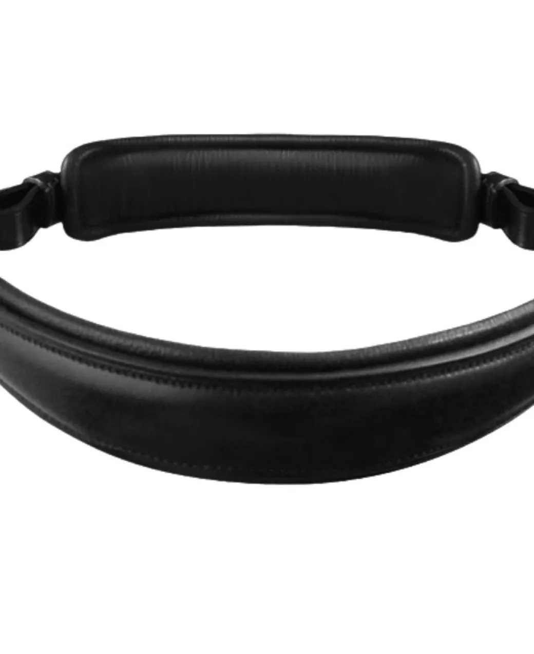 PASSIERBLU Dream Double Bridle