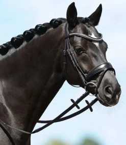 PASSIERBLU Spirit Snaffle Bridle