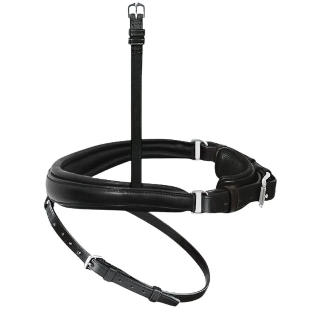 Passier Exchangeable Cavesson Special + Flash