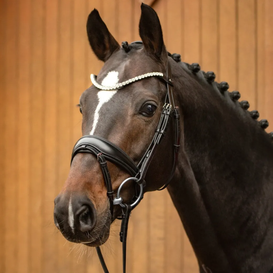 Passier Favorite by Ingrid Snaffle Bridle