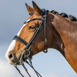 Passier Highscore Double Bridle