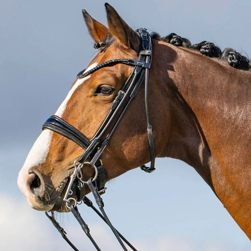 Passier Highscore Double Bridle