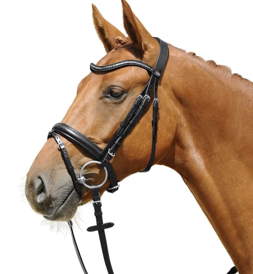 Passier Juno Snaffle Bridle