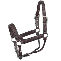 Perri's Buckstitch Halter
