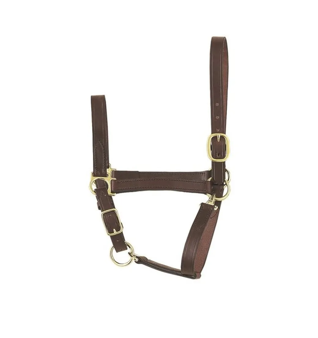 Perri's Economy Leather Halter