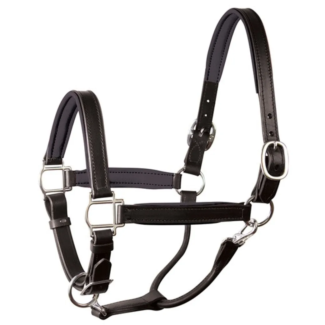 Perri's Padded Leather Halter