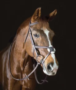Pessoa PRO Fancy Stitched Figure 8 Bridle