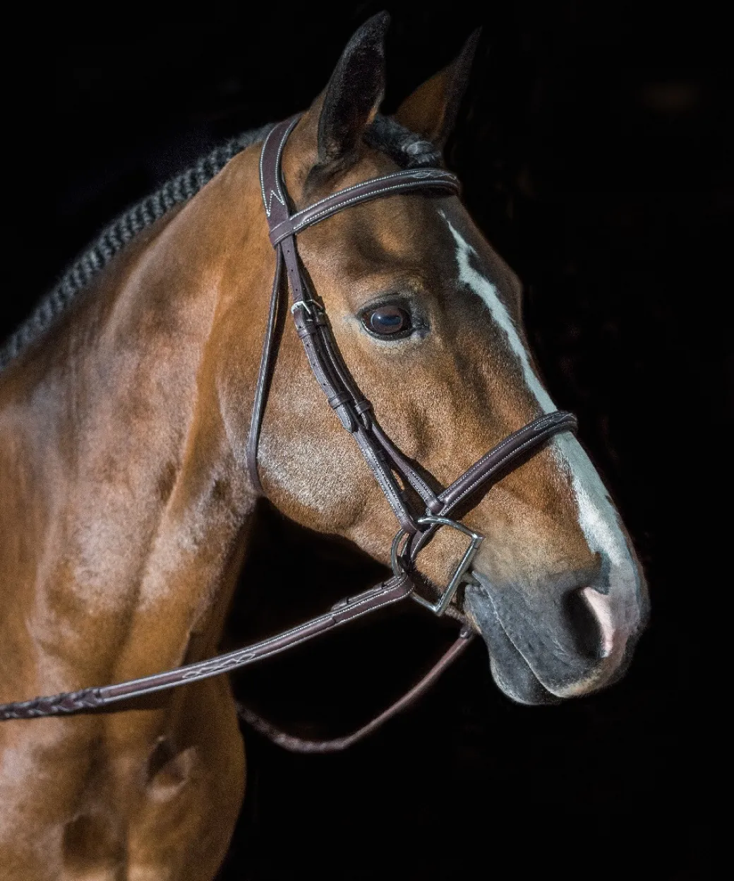 Pessoa PRO Fancy Stitched Raised Bridle