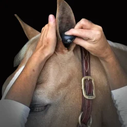 Plughz Equine Ear Plugs