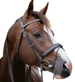 Pénélope Daily Snaffle Bridle