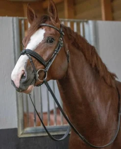 Pénélope Daily Snaffle Bridle