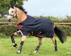 Pony Horseware Amigo Bravo 12 Original Turnout 250g