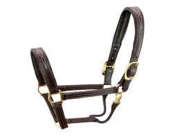 Pony Walsh Signature Halter