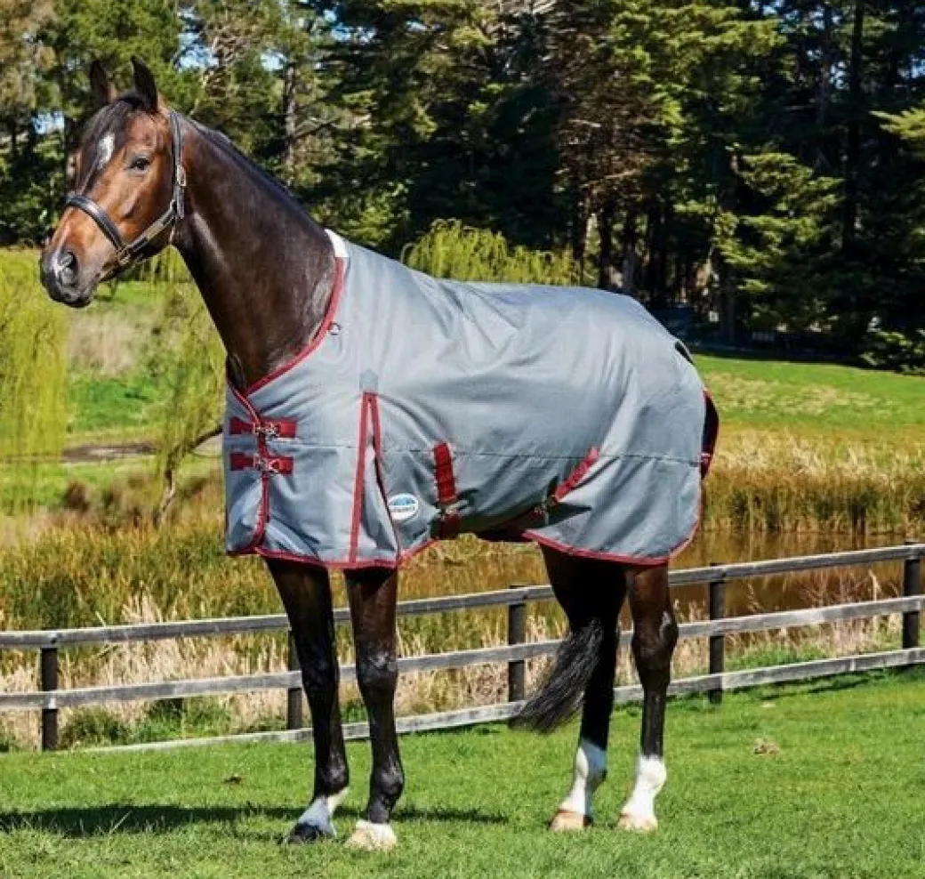 Pony WeatherBeeta ComFiTec Plus Dynamic Standard Turnout