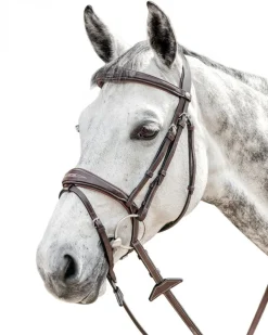 Prestige FS Anatomic Bridle with Flash