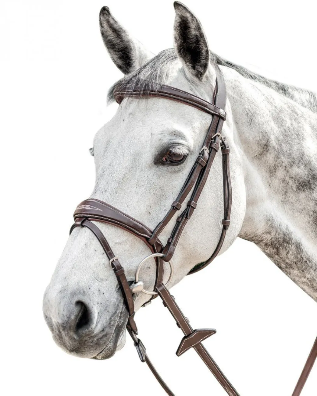 Prestige FS Anatomic Bridle with Flash