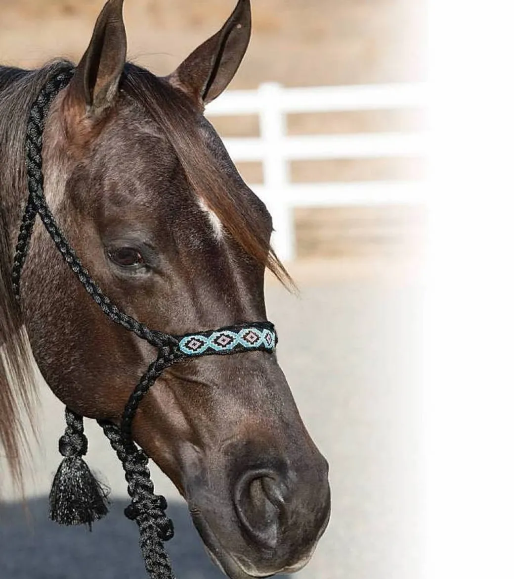 Professional's Choice Beaded Cowboy Braided Halter