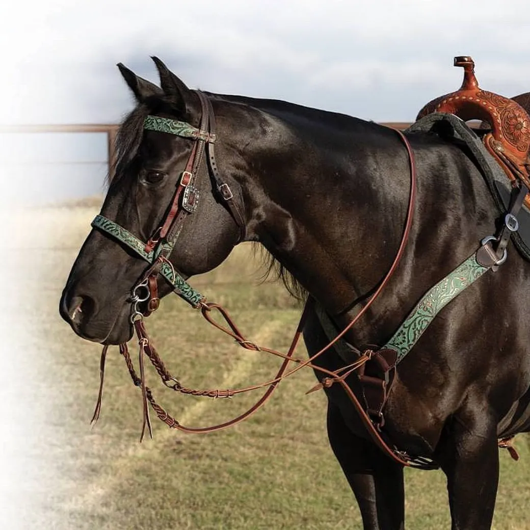 Professional's Choice Copper Emerald Brow Headstall