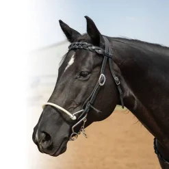 Professional's Choice Infinity Braid Brow Headstall