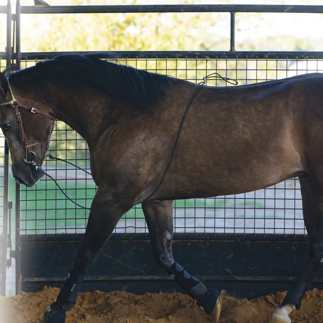 Professional's Choice Lunging Buddy