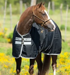 Rambo Amigo Stock Horse Rain Sheet