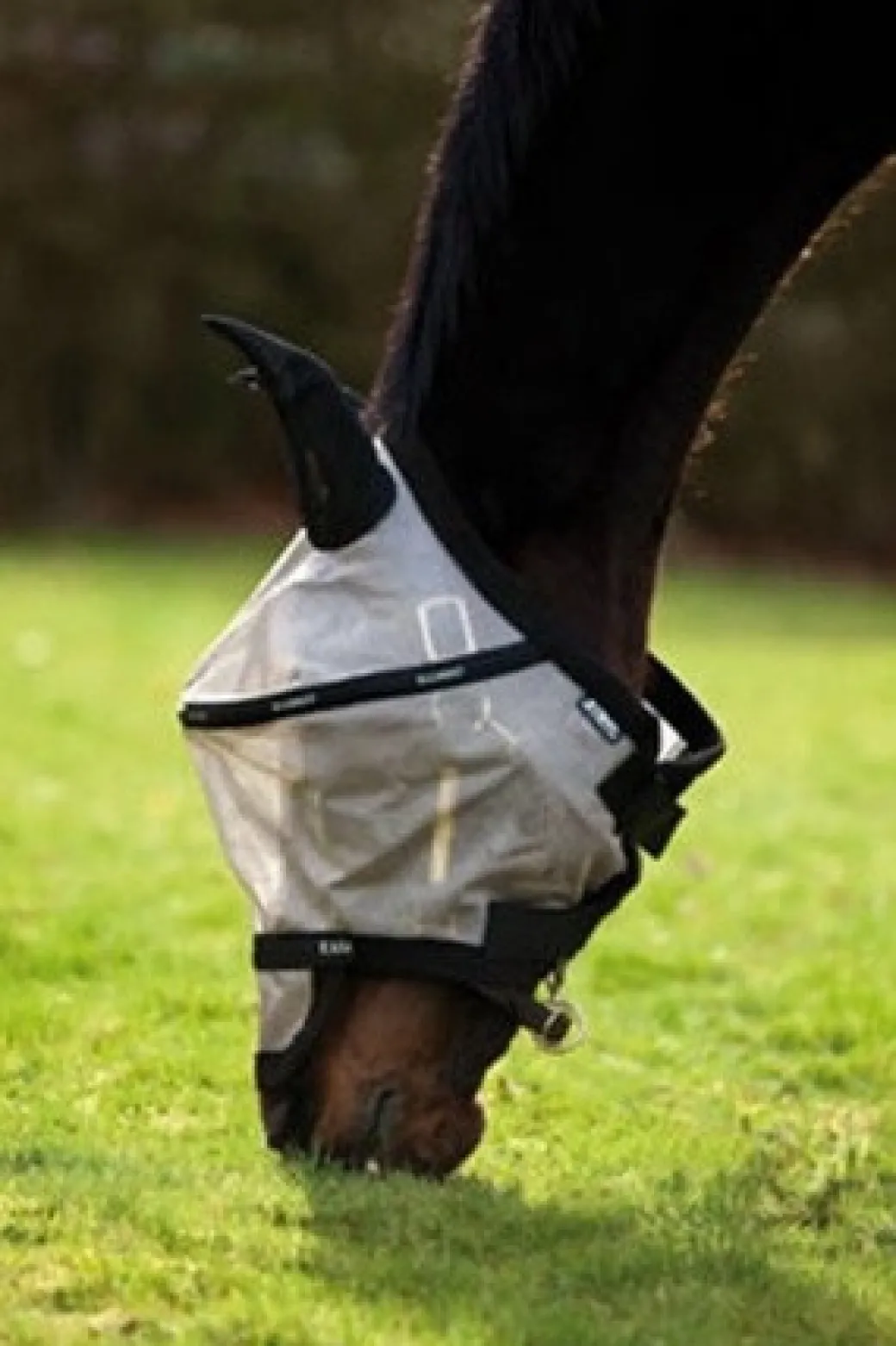 Rambo Plus Fly Mask