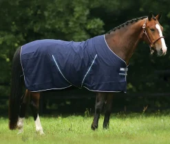 Rambo Stable Sheet