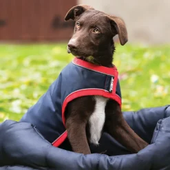 Rambo Waterproof Dog Coat