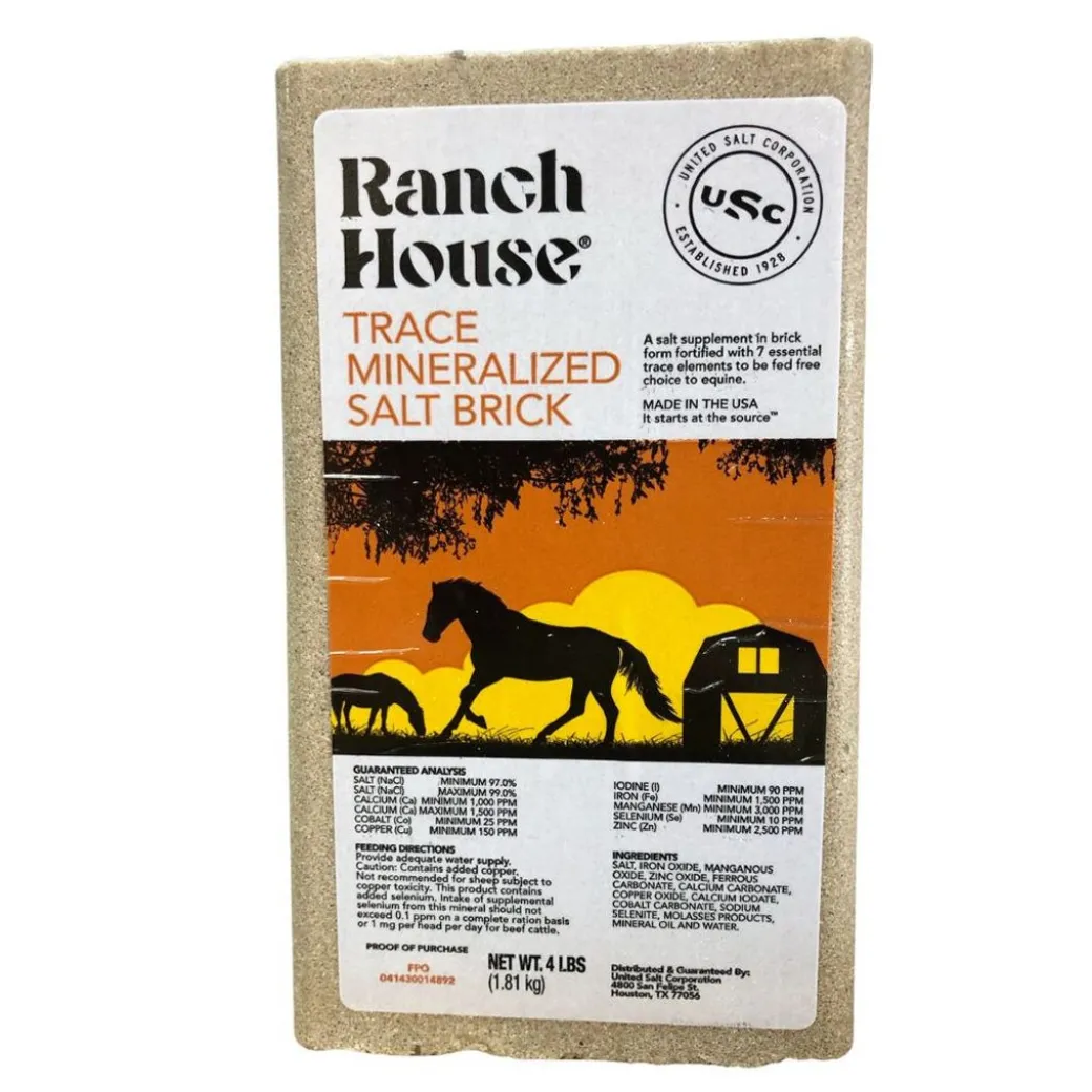 Ranch House Trace Mineralized Salt Brick