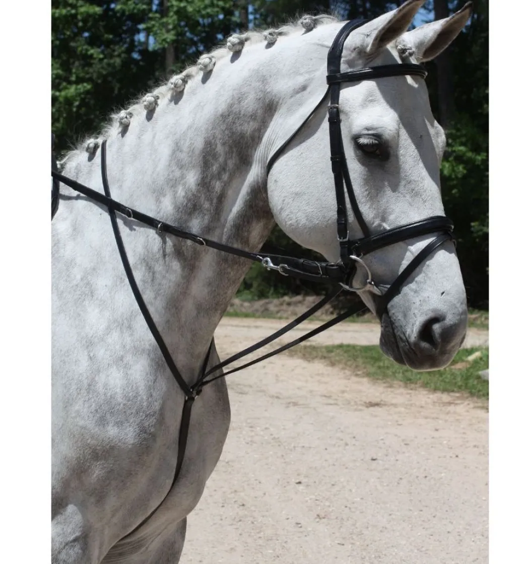 Red Barn German Martingale