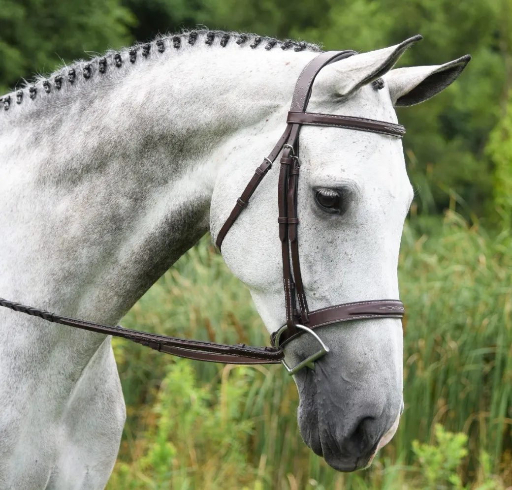 Red Barn Indio Hunter Bridle