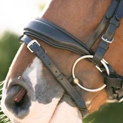Red Barn Topline Snaffle Bridle