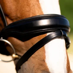 Red Barn Topline Snaffle Bridle