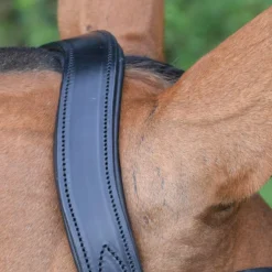 Red Barn Topline Snaffle Bridle