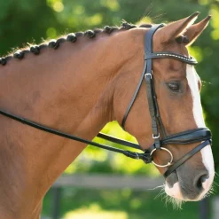Red Barn Topline Weymouth Bridle