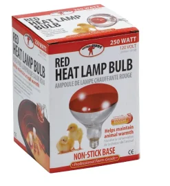 Red Heat Lamp Bulb for Brooder Reflector