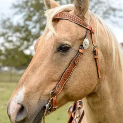 Reinsman Dawson Brow Headstall